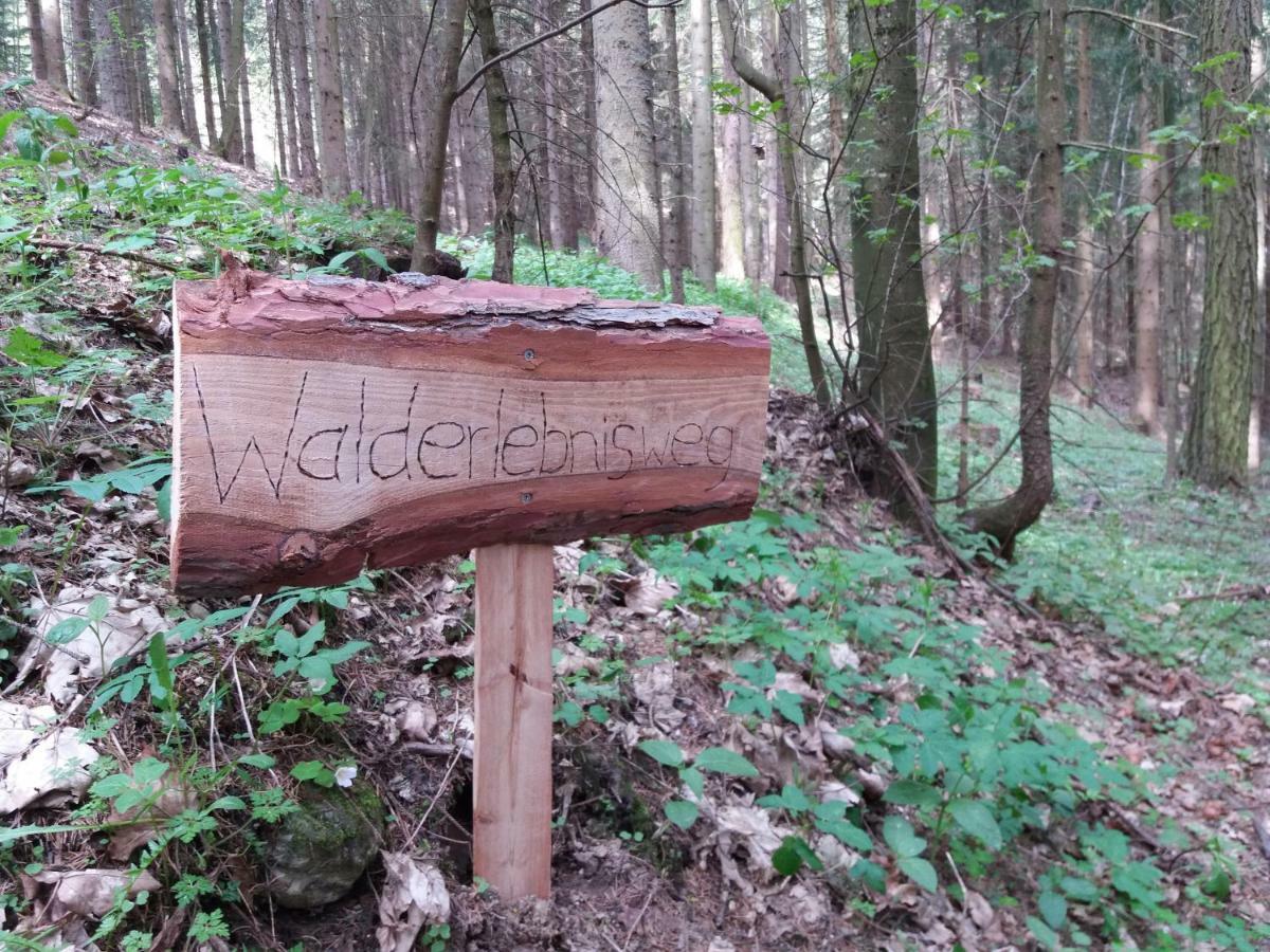 Ferienwohnungen Lichtenegger Kamp Exterior foto